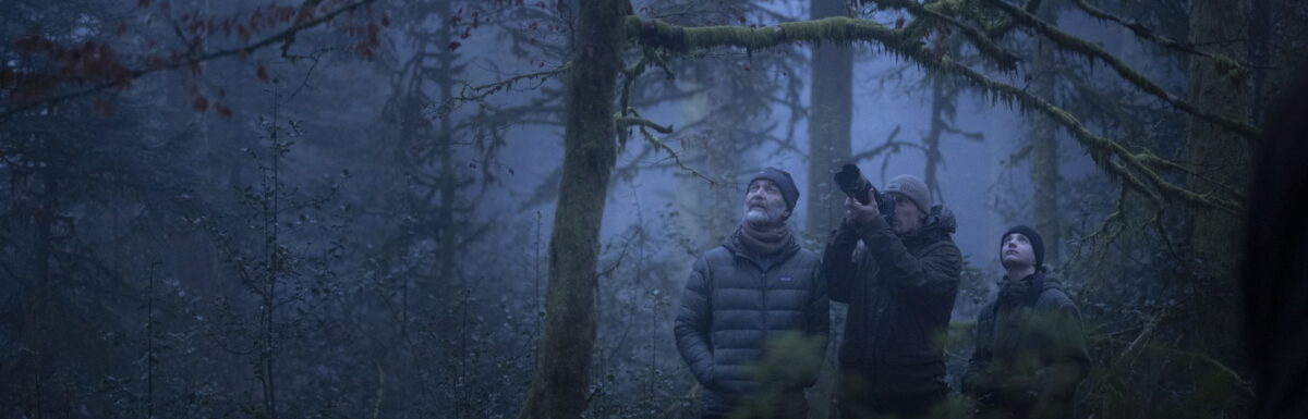 Whispers in the Woods