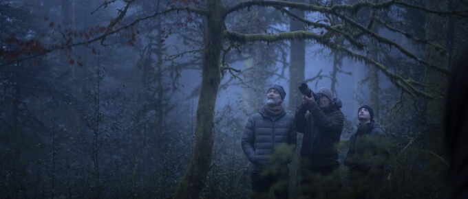 Whispers in the Woods
